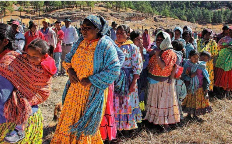 Dará la Corte prioridad a casos de indígenas y afromexicanos