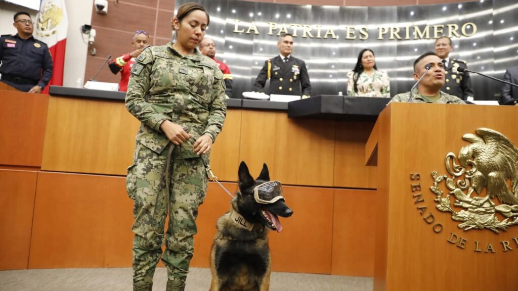 En el Senado, conmemoran Ana Lilia Rivera y Fuerzas Armadas el Día del Binomio Canino