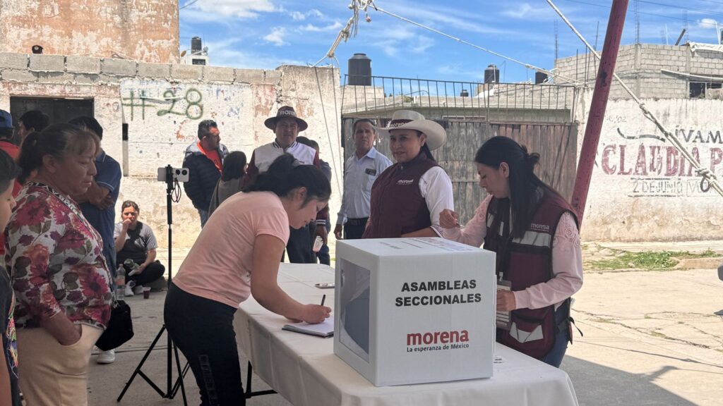 Llama Ana Lilia Rivera a comités seccionales de Morena promover logros de la 4T
