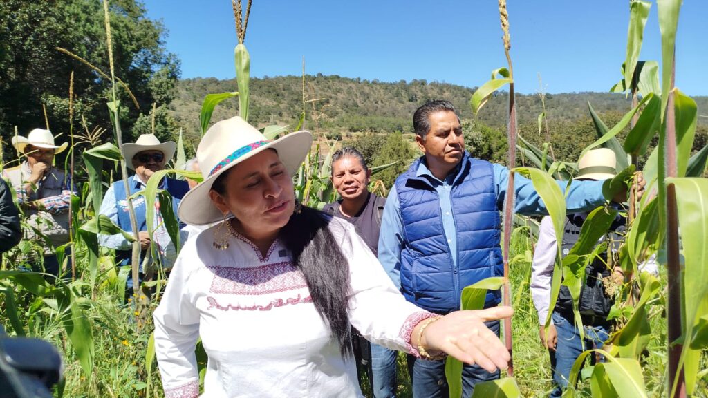 Metepantle tlaxcalteca el mejor sistema resiliente al cambio climático: ALRR