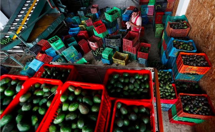 México, el país de AL que más alimentos desperdicia