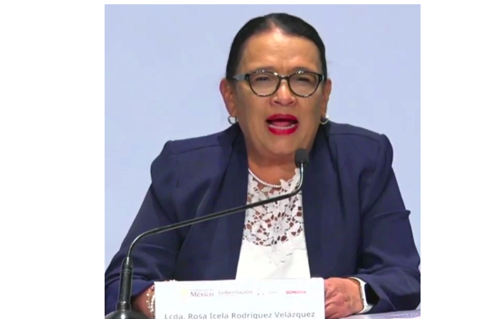 Bajar costo de las elecciones sin sacrificar principios, objetivo de la reforma electoral: Rosa Icela
