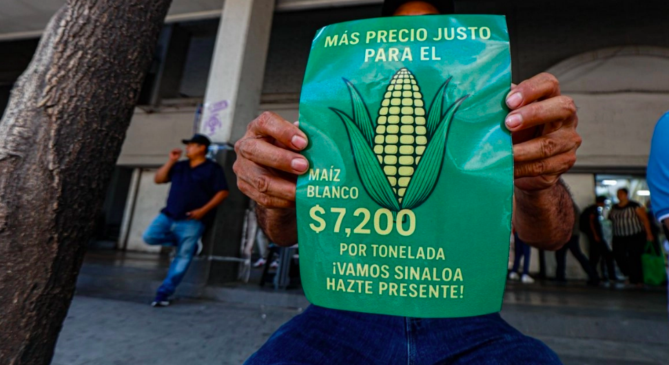 Gobierno federal alista propuesta de apoyo a agricultores