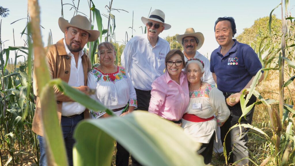 AGRICULTURA Y FAO RECONOCEN AL SISTEMA AGRÍCOLA METEPANTLE DE TLAXCALA COMO PATRIMONIO AGRÍCOLA MUNDIAL