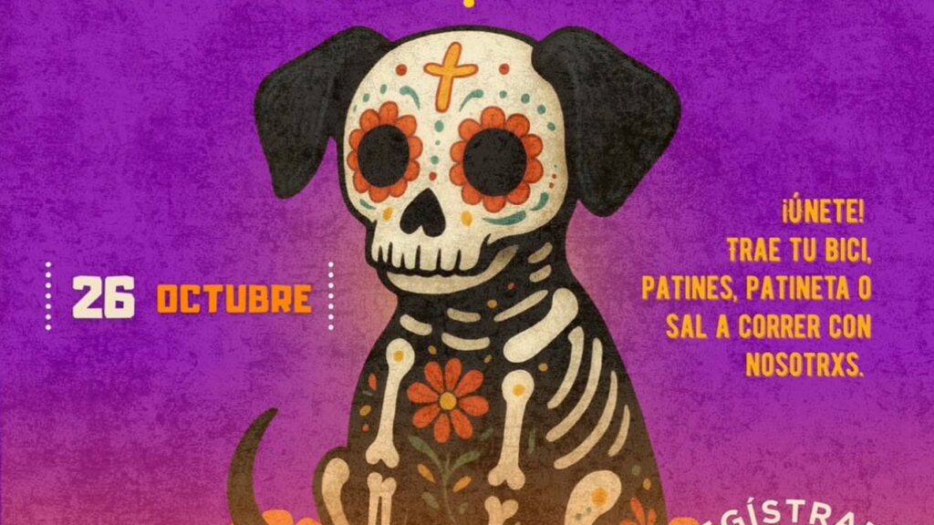IMJUVE convoca a rodar y correr por la paz y contra las adicciones en una jornada nacional con temática de Día de Muertos