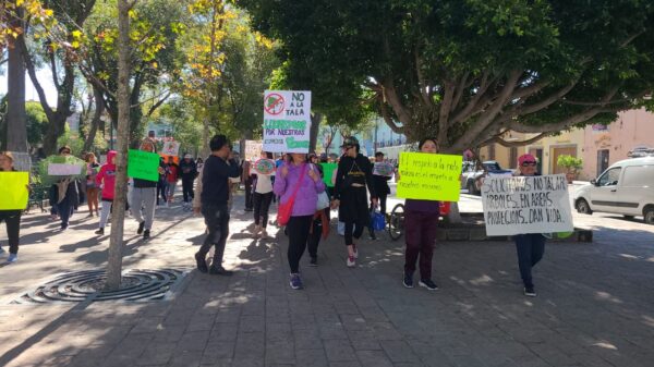 Activistas se oponen a obra en Parque de la Juventud y presentan amparos contra tala de árboles