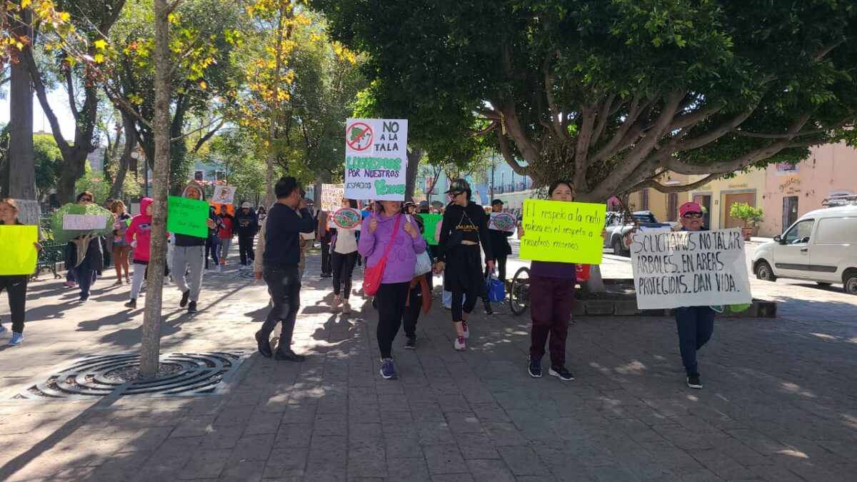 Activistas se oponen a obra en Parque de la Juventud y presentan amparos contra tala de árboles