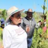 Un logro de Ana Lilia Rivera que FAO reconozca al Metepantle Tlaxcalteca como Patrimonio Agrícola Mundial