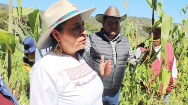 Un logro de Ana Lilia Rivera que FAO reconozca al Metepantle Tlaxcalteca como Patrimonio Agrícola Mundial