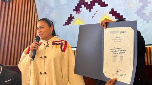 Ana Lilia Rivera Rivera, senadora de la República, se reunió con medios de comunicación.