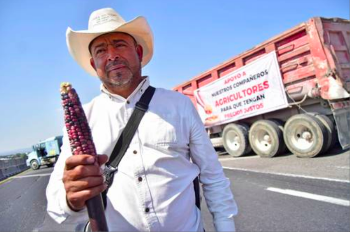 Disminuye producción en todos los cultivos del país, alertan dirigentes