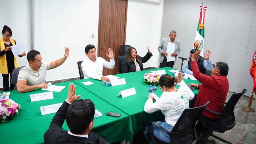 Avanzan en Comisión de Puntos Constitucionales reformas a las leyes de asistencia social, derechos de la niñez y publicación de la ley de personas adultas mayores