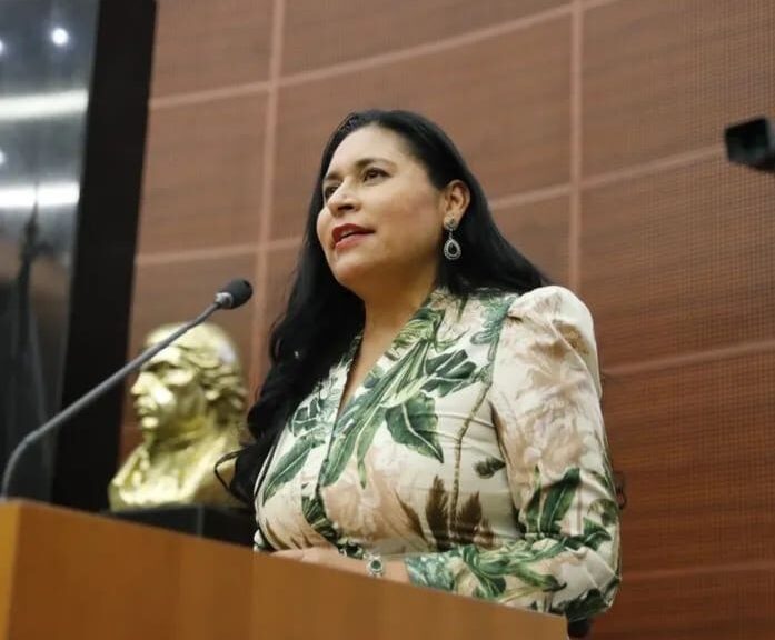 Satisfacción por balance positivo durante el último año en el Senado, expresa Ana Lilia Rivera