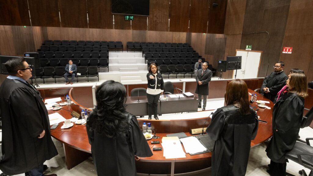 Designa TSJE a Erika Hortensia Arenas Mendieta como Nueva Integrante del OAJ