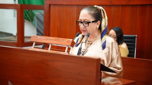 La diputada Maribel Cervantes Hernández destacó que el derecho humano a un medio ambiente sano impone a las autoridades de los tres órdenes de gobierno, la obligación de implementar políticas públicas eficaces para la protección del entorno natural y la salud pública