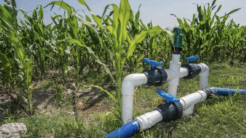 Amplían proceso de subsidio eléctrico para el agua para uso agrícola