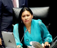 La legisladora subrayó la importancia de la estrategia de la presidenta Claudia Sheinbaum en la conducción de la relación bilateral con Estados Unidos