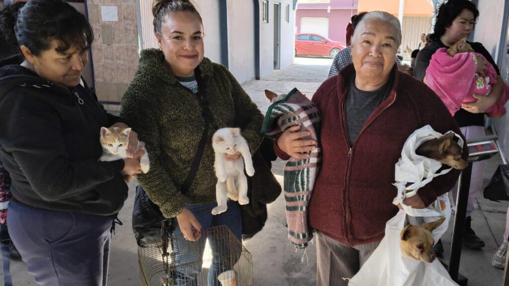 Esta campaña contempla la realización de más de 800 cirugías, con un promedio de 50 esterilizaciones por comunidad, permitiendo que cualquier persona interesada pueda acceder a este servicio como parte de las acciones de bienestar animal impulsadas por la administración municipal.