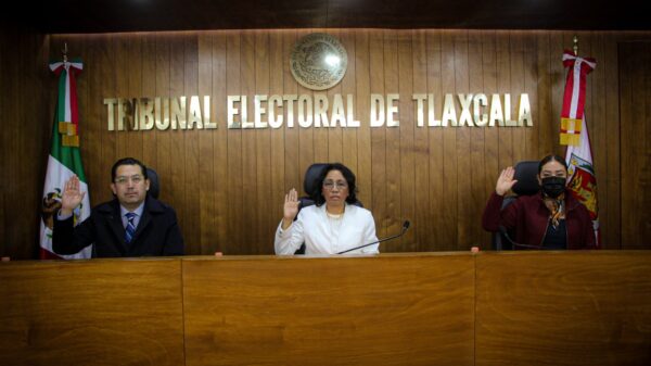 Confirma improcedencia de medida cautelar relativa a la solicitud de separación temporal del cargo de la Presidenta del Comité Ejecutivo Estatal.