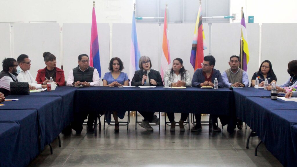 Colectivos y colectivas de la población diversa, proponen que esta campaña sea el inicio de acciones encaminadas a una reforma legislativa en la materia