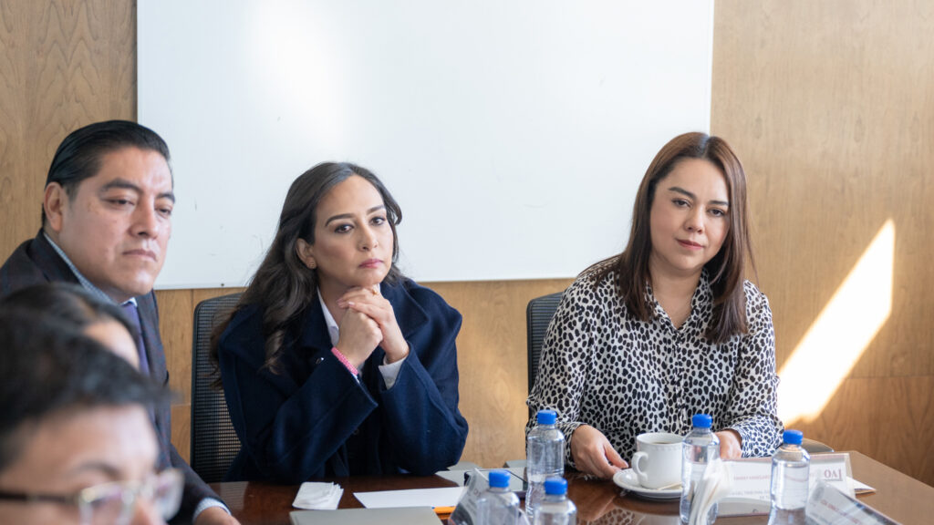 Poder Judicial y SEDIF trabajan juntos por la protección de niñas, niños y adolescentes en Tlaxcala
