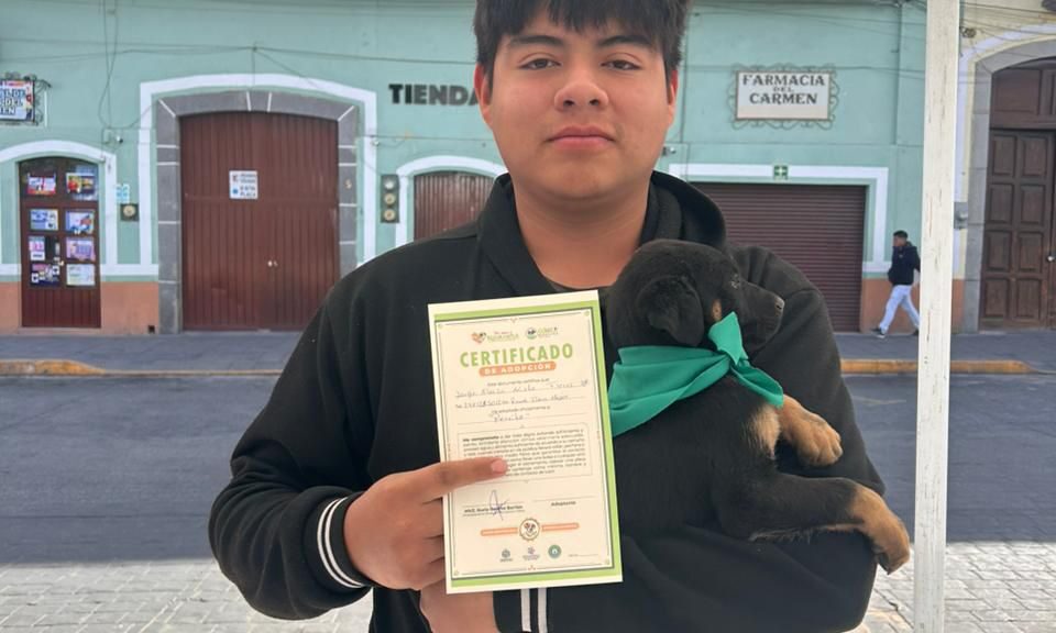 Huamantla impulsa el bienestar animal con éxito en la jornada “Adopta un Amigo”