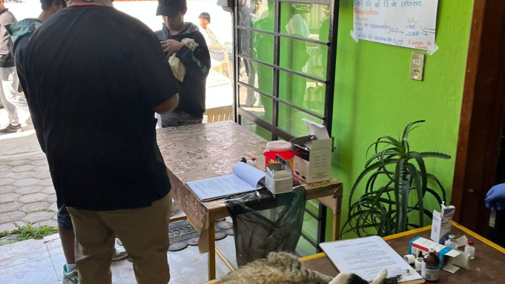 Continúan las jornadas de esterilización en Huamantla para promover la tenencia responsable