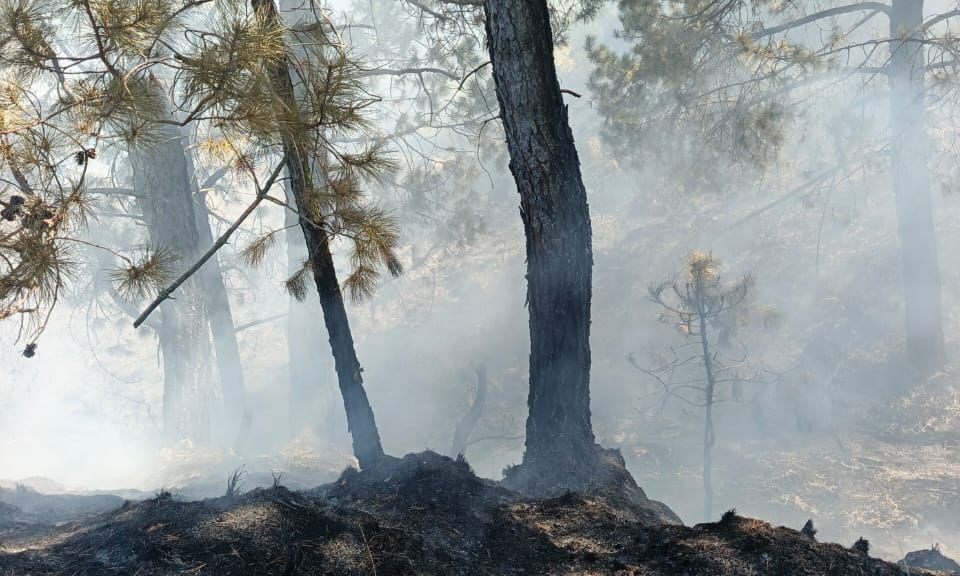 Se atendió de manera inmediata un incendio registrado en el paraje San Bartolo, en los linderos del Pueblo de Pilares, a un costado de las barrancas en las faldas de la Malinche.