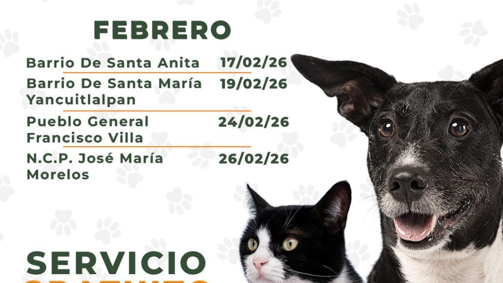 Con éxito se realiza jornada de esterilización en Santa Anita; 40 cirugías en favor del bienestar animal