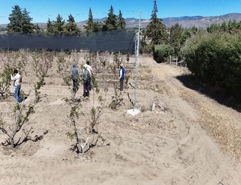 SECRETARÍA DE IMPULSO AGROPECUARIO EVALÚA POSIBLES DAÑOS EN HUERTAS DE DURAZNO EN ATLTZAYANCA