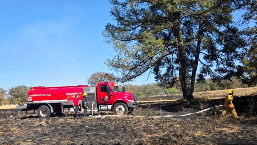 Habrá sanciones a quienes resulten responsables de provocar incendios: Blanca Angulo