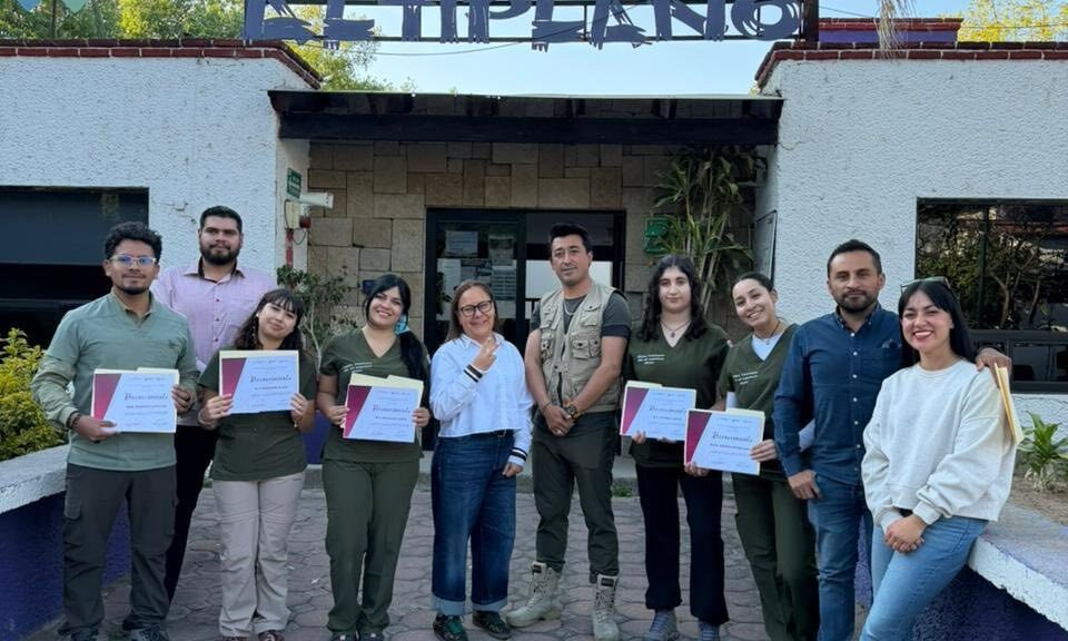 ESPECIALISTAS REALIZAN EVALUACIONES CLÍNICAS A FELINOS EN EL ZOOLÓGICO DEL ALTIPLANO