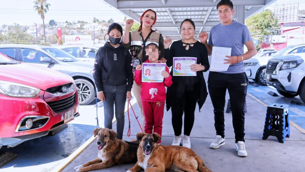 MEDIANTE JORNADAS “ADOGTAME”, 91 PERRITOS RESCATADOS ENCUENTRAN HOGAR