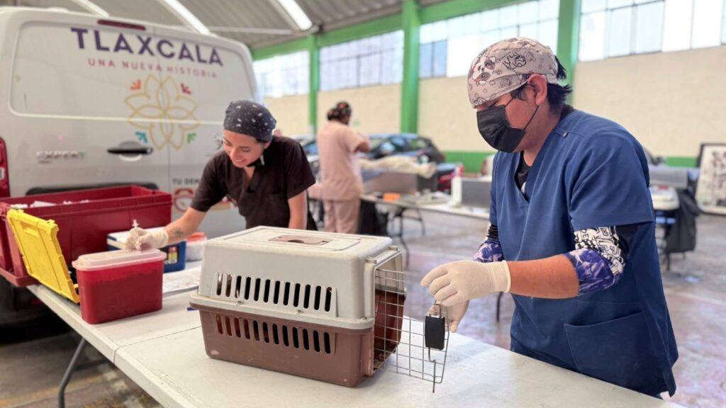 COORDINACIÓN DE BIENESTAR ANIMAL BRINDA MÁS DE 4 MIL SERVICIOS VETERINARIOS