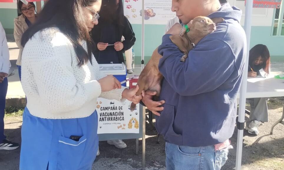 SESA E IMSS-BIENESTAR APLICARÁN MÁS DE 388 MIL VACUNAS ANTIRRÁBICAS A PERROS Y GATOS