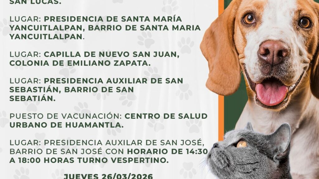 El Gobierno Municipal de Huamantla, en coordinación con el Centro de Salud Urbano, invita a la ciudadanía a participar en la Jornada de Vacunación Antirrábica Canina y Felina, que se llevará a cabo del 25 al 28 de marzo de 2026 en distintos puntos de la ciudad.
