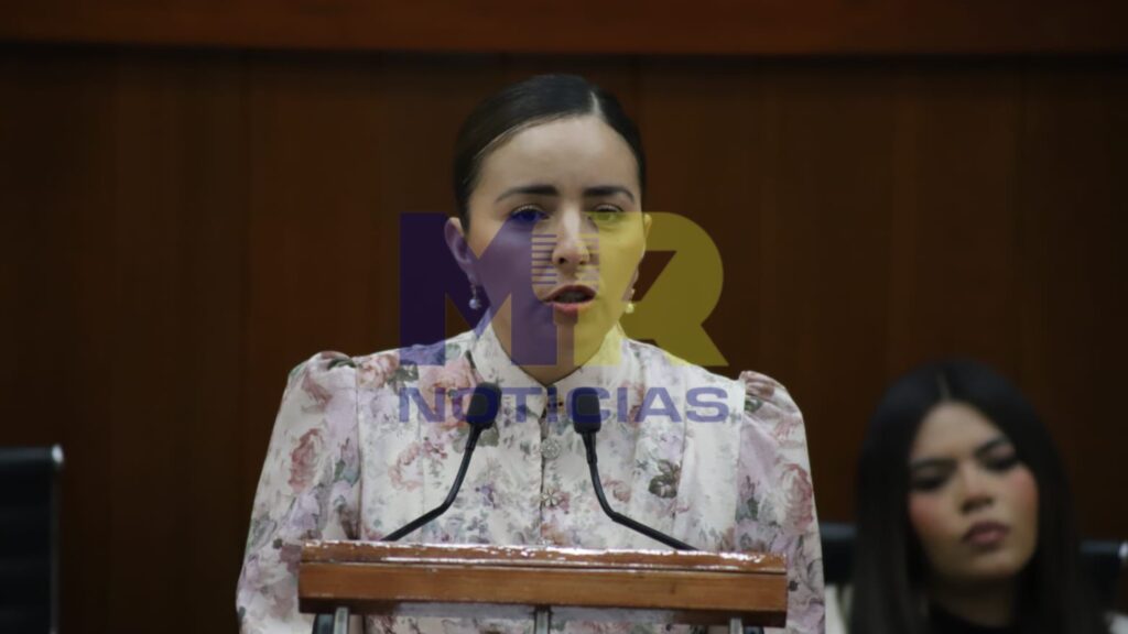 Diputada exhibe a Gobiernos y empresa por omisión de señaletica vial