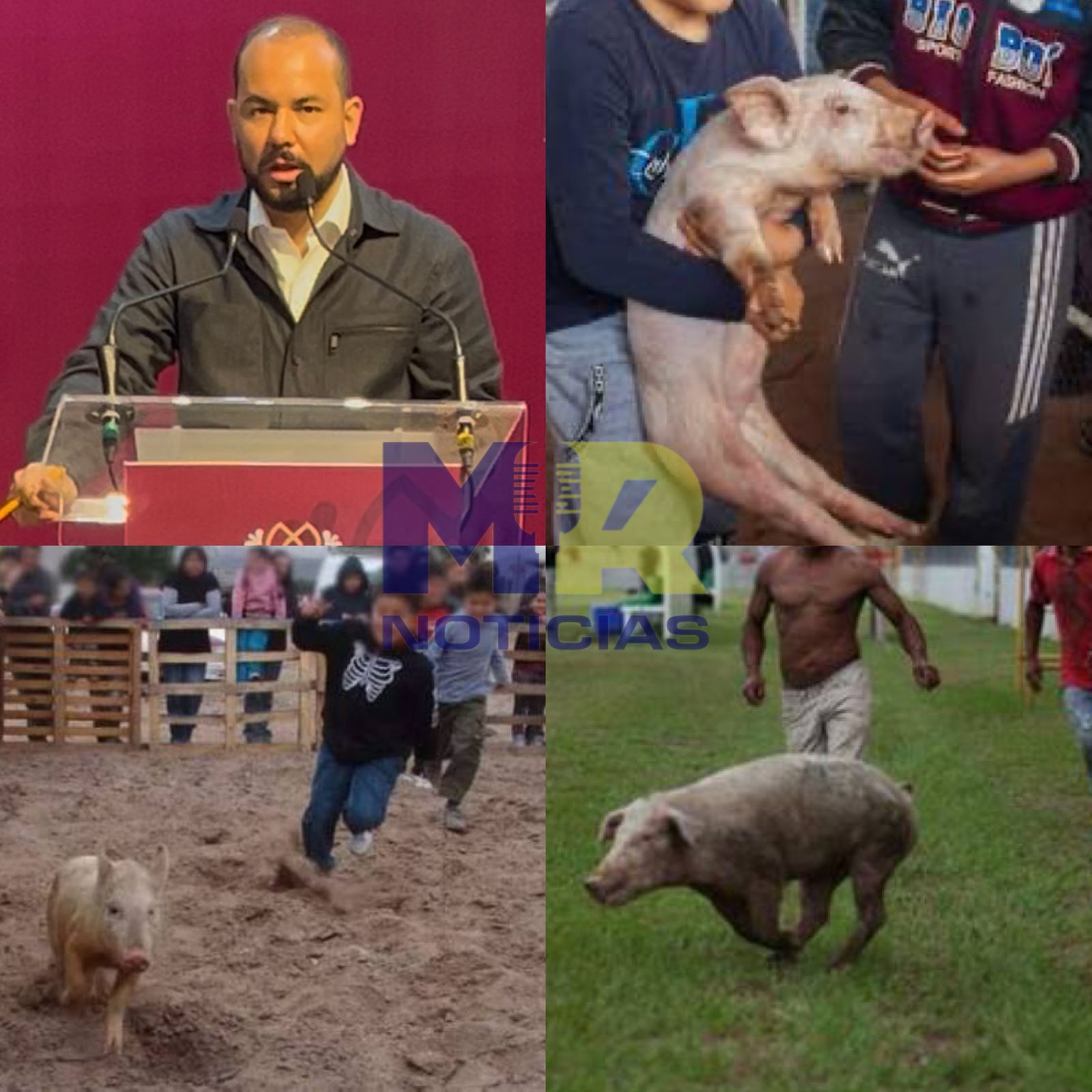 Sanciona Propaet al municipio de Tlaxco por permitir maltrato animal