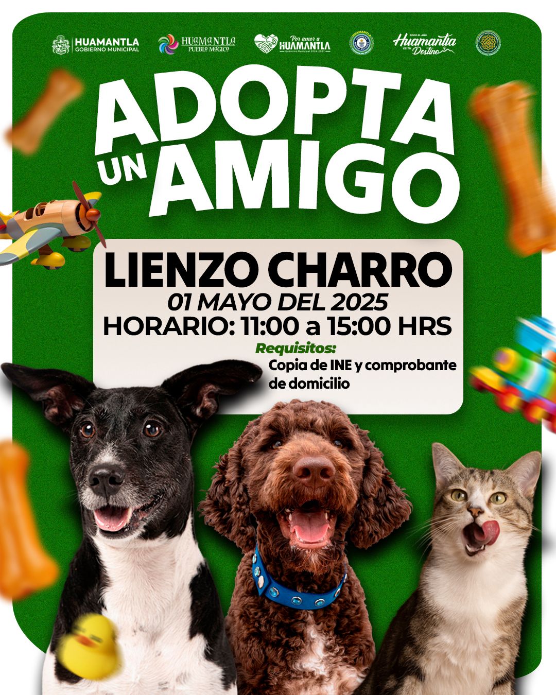 HUAMANTLA PROMUEVE LA ADOPCIÓN RESPONSABLE CON JORNADA “ADOPTA UN AMIGO”