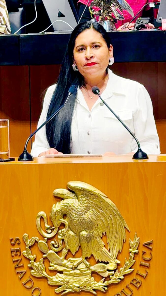 México fortalece a sus fuerzas Armadas con capacitación internacional avalada por el Senado: Ana Lilia Rivera
