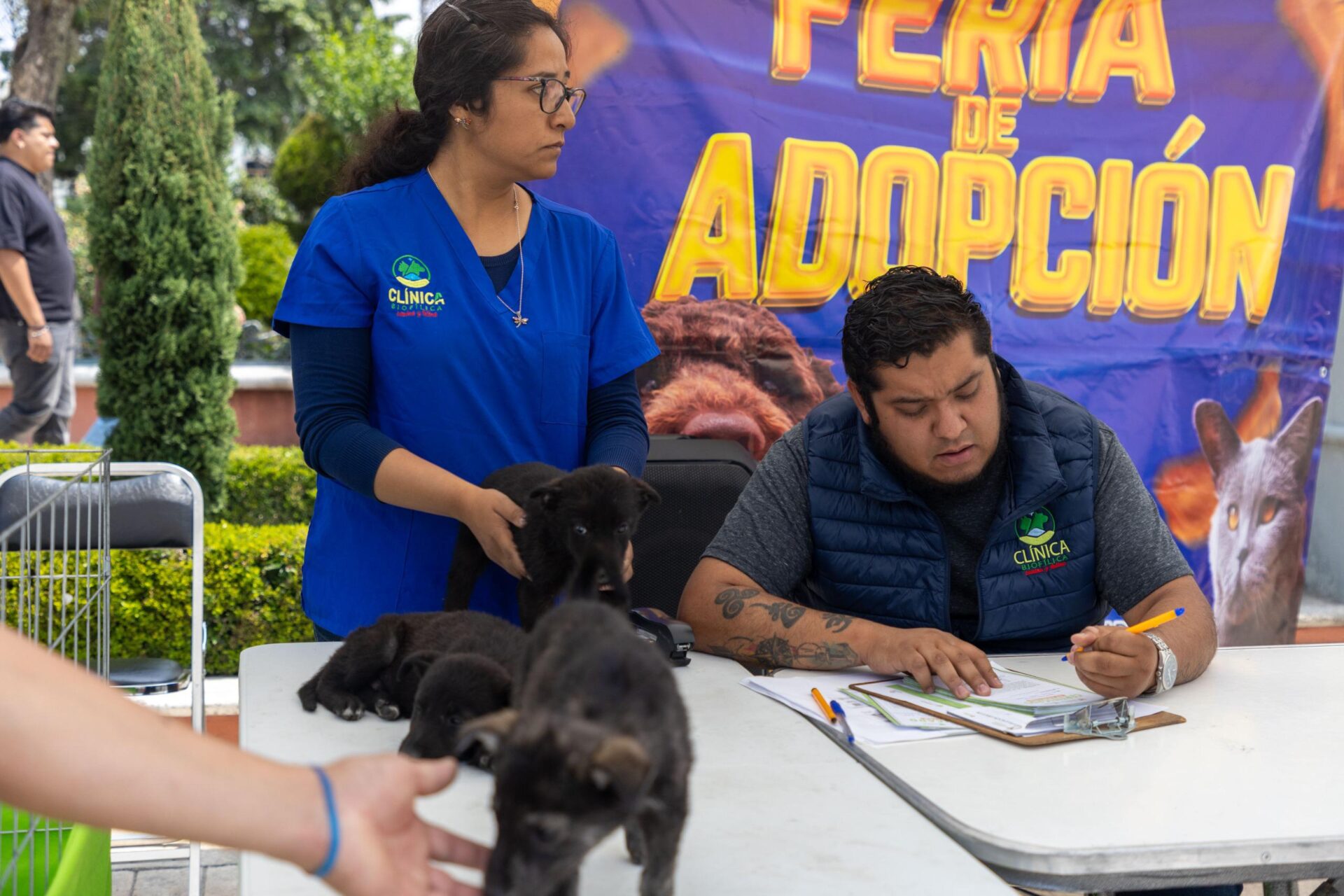 “ADOPTA UN AMIGO” CAMBIA HISTORIAS Y ENCUENTRA NUEVOS HOGARES PARA 12 PERRITOS EN HUAMANTLA