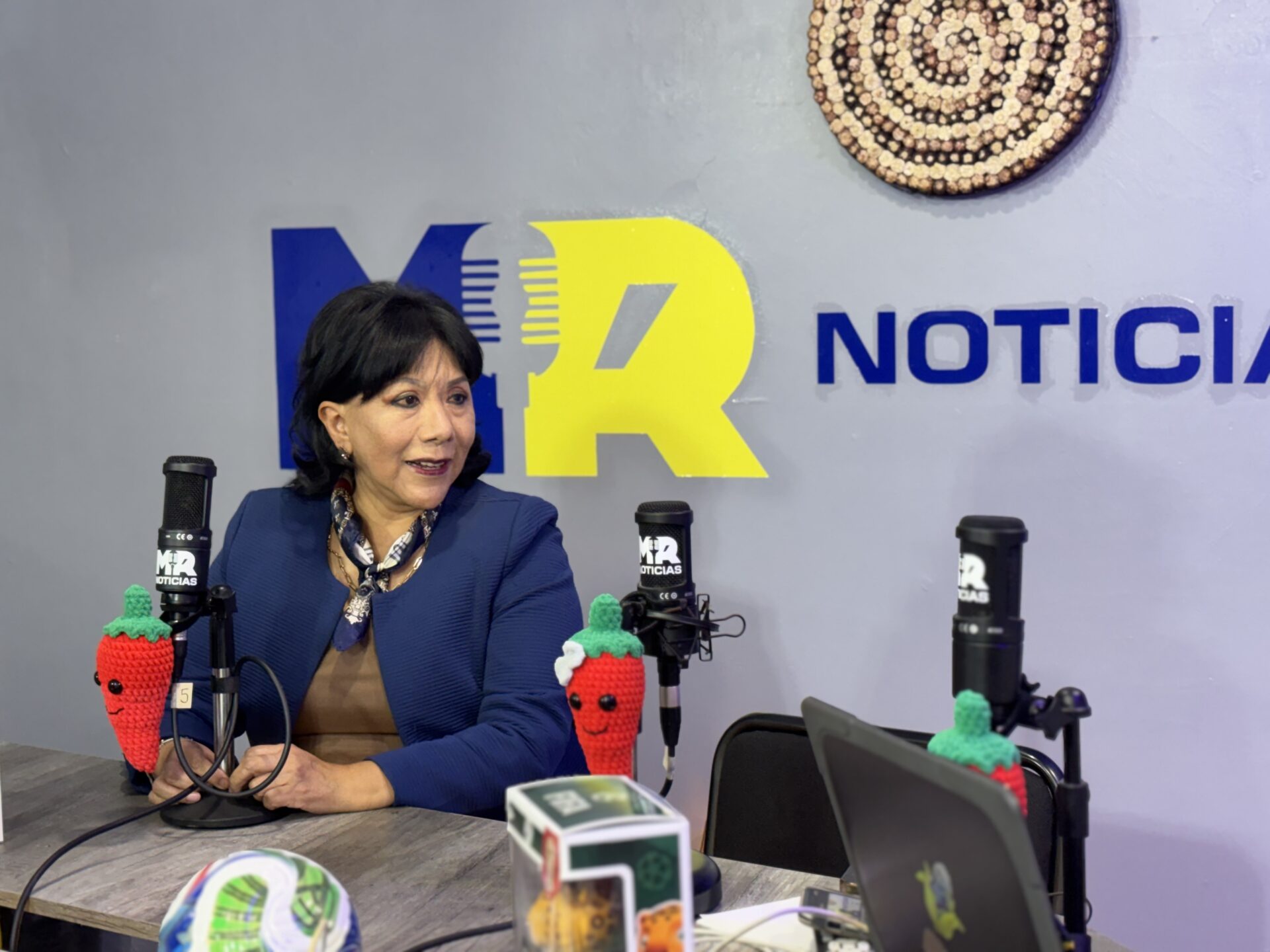 Anabel Avalos Zempoalteca criticó las reformas impulsadas por morena y sus aliados, entre ellas la del Poder Judicial. Imagen: Valeria Flores/MR Noticias