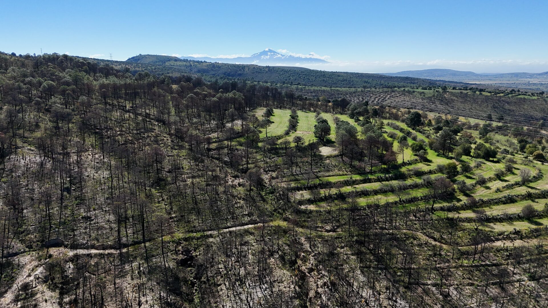 JORNADA NACIONAL DE REFORESTACIÓN EN TLAXCALA INICIARÁ A LAS 9:00 HORAS DESDE ATLTZAYANCA