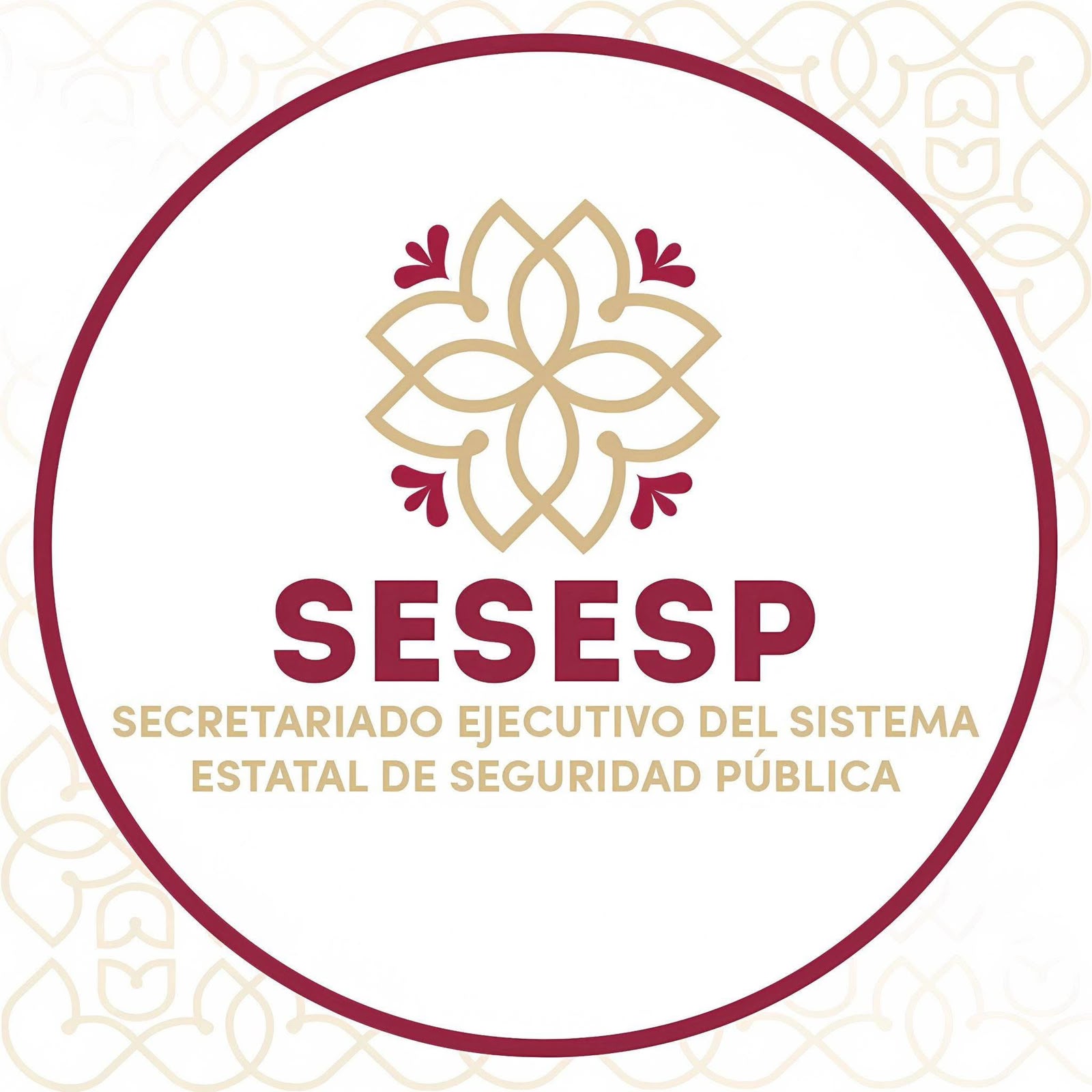 SESESP REPORTA INTENTO DE VANDALISMO INFORMÁTICO EN SU PÁGINA OFICIAL; DESCARTA AFECTACIÓN DE INFORMACIÓN