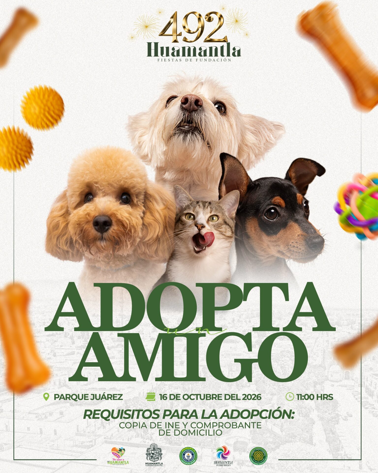 UNA NUEVA HISTORIA PUEDE COMENZAR CON UNA ADOPCIÓN EN HUAMANTLA